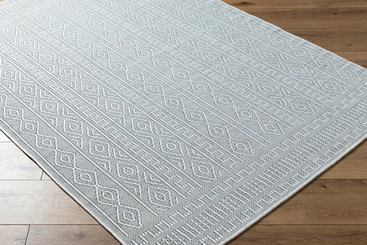 Talia Indoor/Outdoor Machine Woven Rug